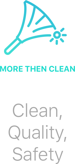 More Then Clean
